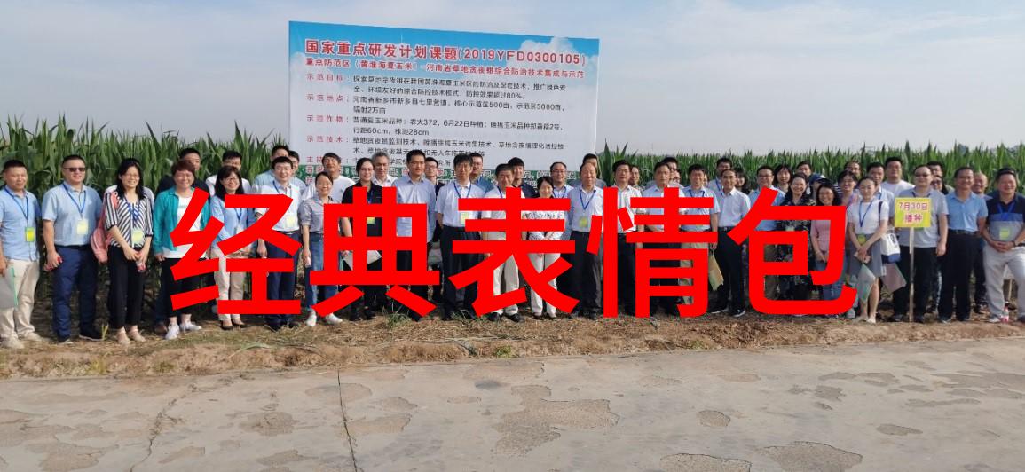 臣惶恐忠诚的忧虑与内心的挣扎