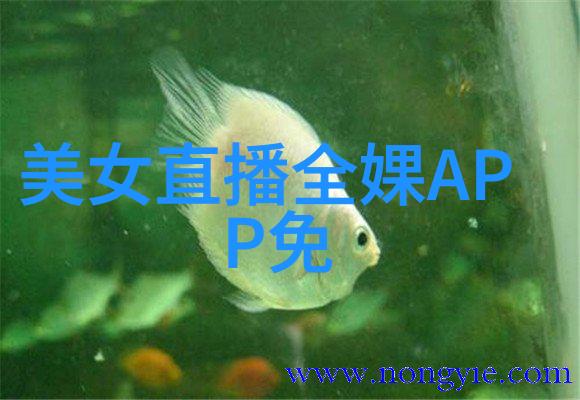 免费扫一扫识别字体让文字回归本真