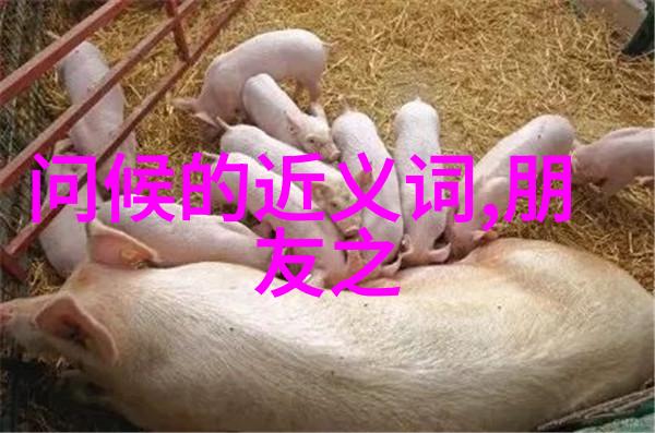 圣诞节的日期固定在每年的12月25日这一天被广泛认为是基督教徒庆祝耶稣基督降生的大日