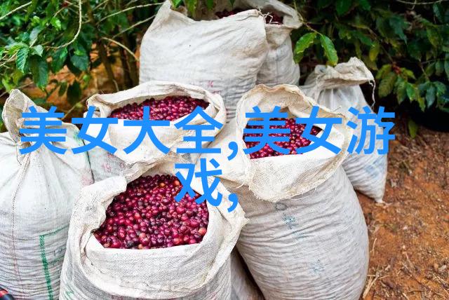 下雪的唯美短句我的心也飘落了