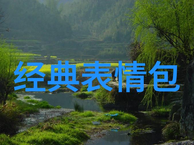 邪气凛然全文阅读我是如何被一本书的邪气所吸引的