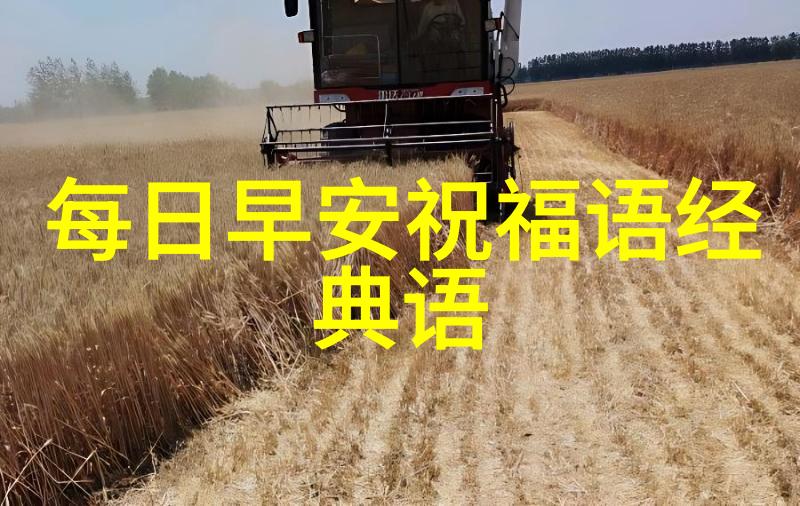 好听又冷门小众的ins风网名森系清新文艺黑白格调