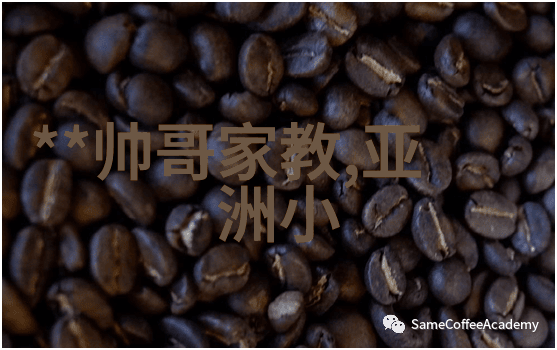 我真是大明星-闪耀的电影巨星与我的传奇人生