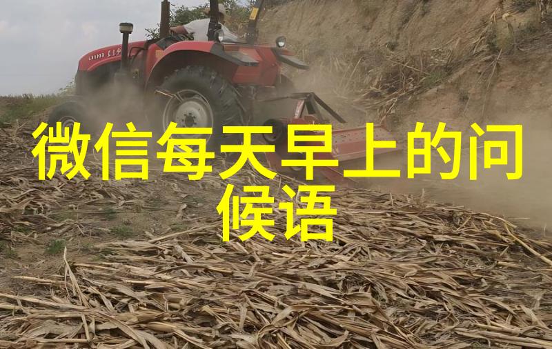 重来一次月下蝶影-追忆与梦想的舞蹈重温那段青涩时光