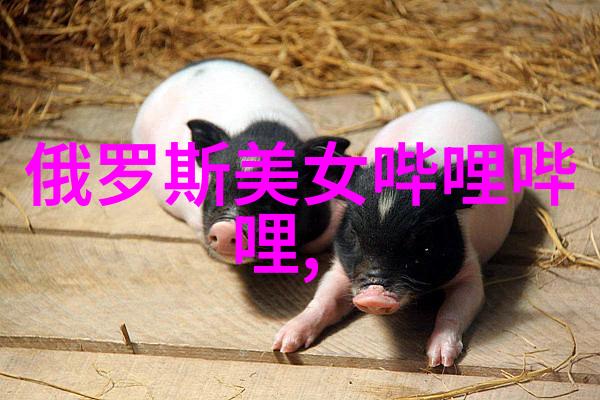 雪中笑语冬日奇趣记