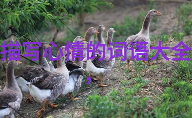 千万不要查揭秘隐蔽的追踪技术如何侵犯你的隐私