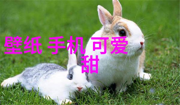 亲爱的小孩图片-温馨瞬间捕捉童年纯真与快乐的亲子画面