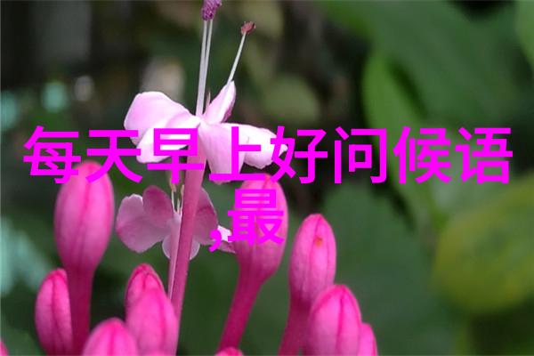 男朋友的名字是最好的情话2022年属虎女孩子取名字大全免费推荐