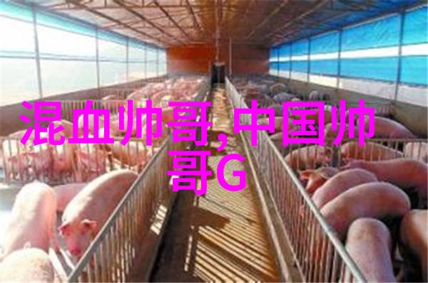 探秘小动物萌萌哒它们的特质是什么