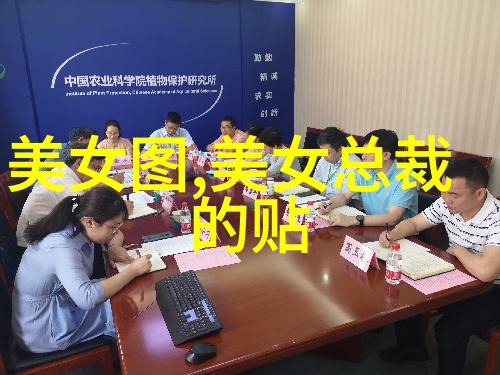 花木兰评分海内外不同最近免费观看高清韩国日本电影让人担忧