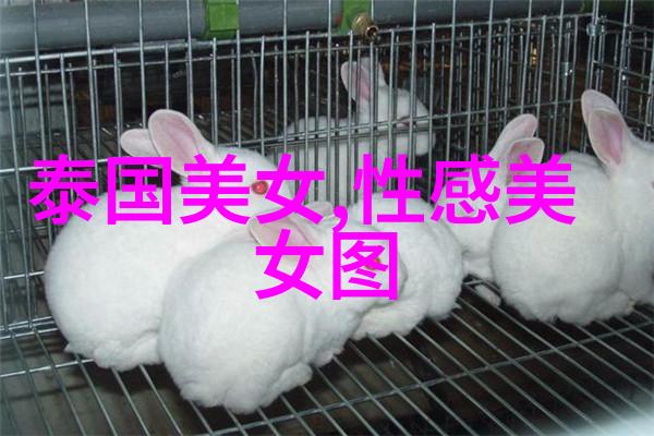 心情不好的日子朋友们愿意陪伴我度过吗