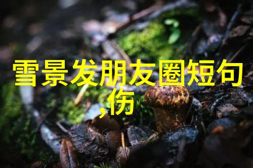 海报时尚网王菲对张柏芝一句话回怼记者让场面哑口无言