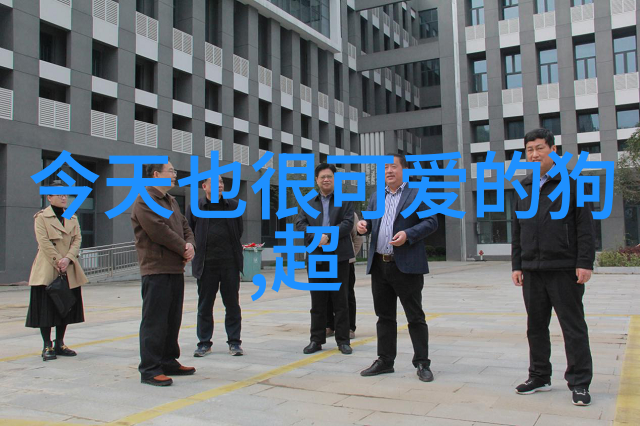 文艺小清新惹人爱的女生网名书香般的字体选择轻触屏幕间点亮心灵之光