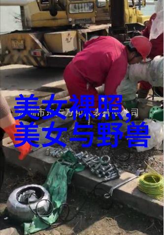 跳跃的梦想卡通兔子带你进入色彩斑斓的童话世界