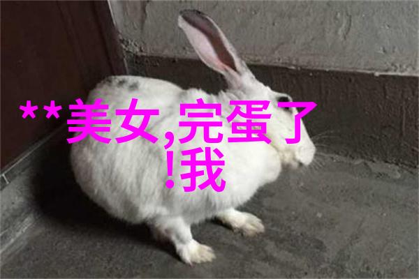 现实生活心累的句子说说心情-压抑的心灵现实生活中的重负与感慨