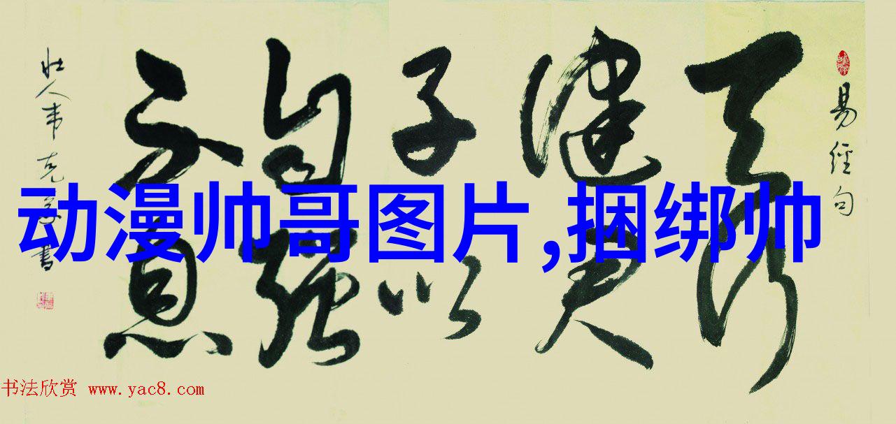 万能文字识别未来技术的新纪元