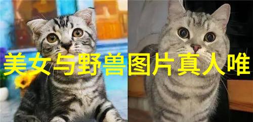 全球恐怖鬼影揭秘那些让人毛骨悚然的古老传说与现实照片