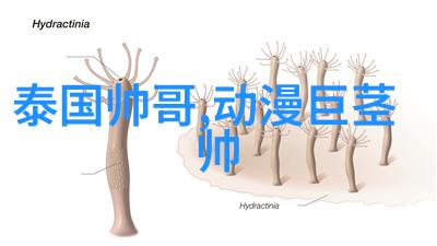 欢乐颂4今晚开播全新海报带你回味50部经典电视剧的温馨瞬间主题曲如同暖流逐渐淌入你的心房