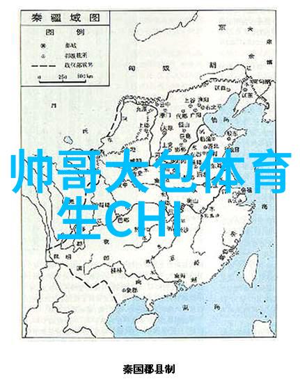 美女消失一场惊心动魄的绑架案件