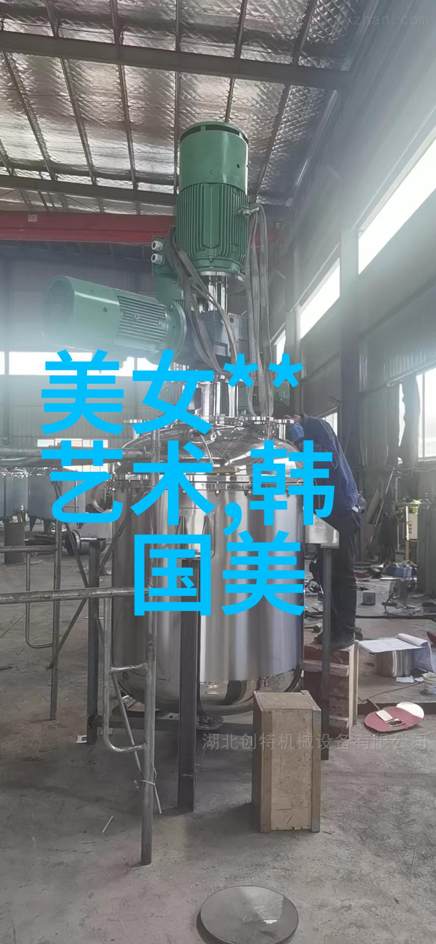 韩国伦理电影花木兰评分差异显著引发国内外观众担忧