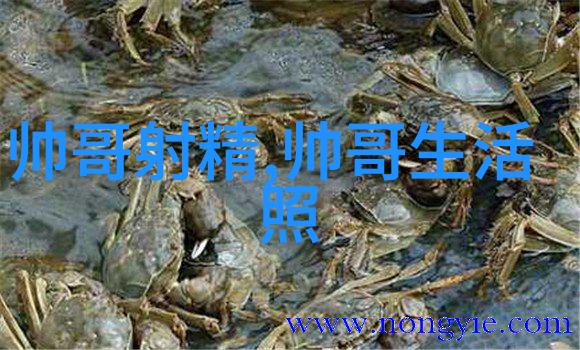 娇妻十七岁我的甜蜜小秘密