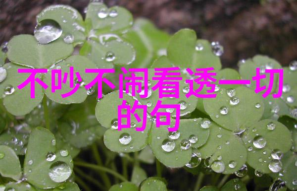 街头小混混如何让路人走不动路揭秘三个人弄的我走不了路视频背后的故事