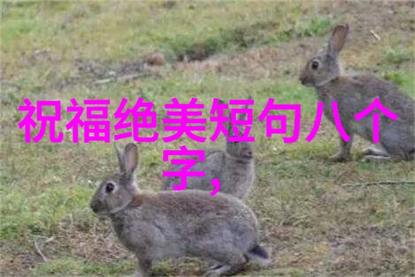 明日佳节揭秘世界各地的庆典与习俗