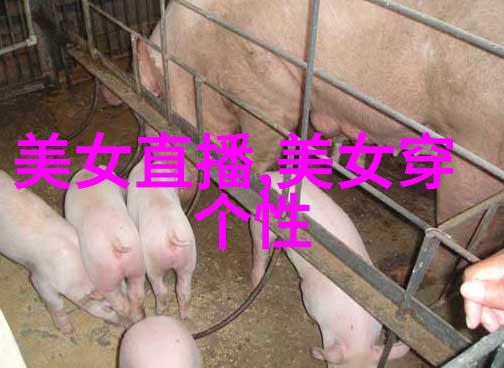 小可爱的画卷好看的图片中的精灵世界