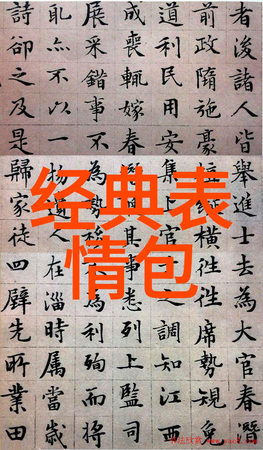 恐怖片爱好者的盛宴免费观看的精选之旅