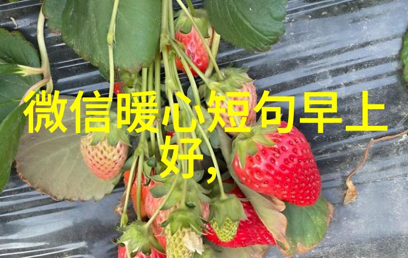 花木兰评分海内外不同拯救嫌疑人电影令人担忧