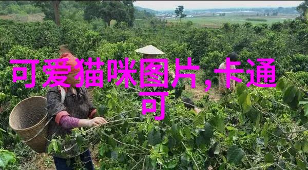 免费进群二维码大全QQ群QQ社交交流群组加入指南