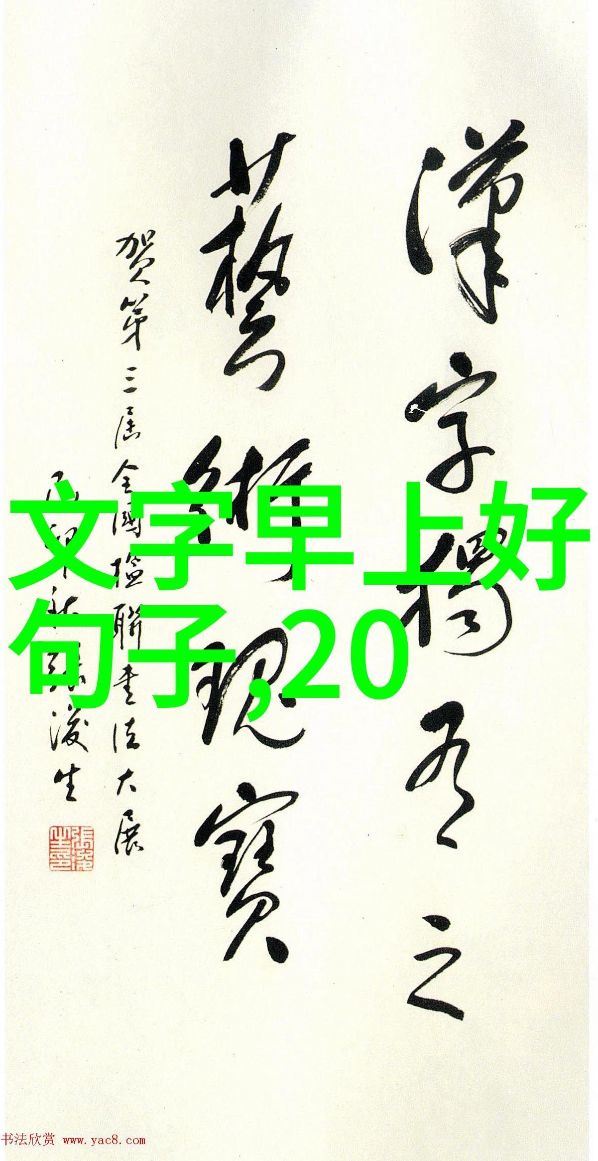 数字人生身份号019的隐秘探索