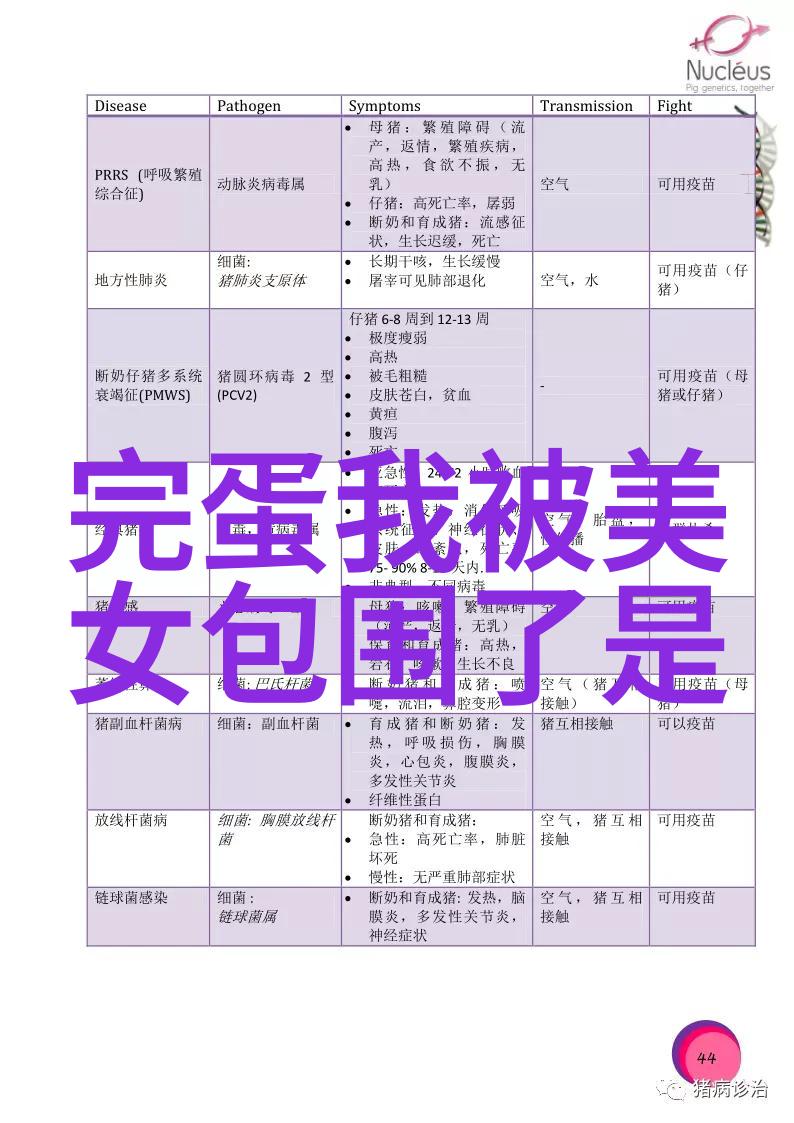激情澎湃的团队精神探索那些充满干劲的群名背后的力量