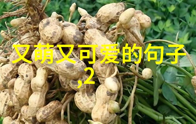 浪漫单身探索现代交友群体的新篇章