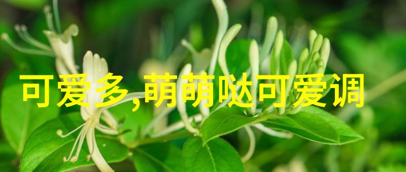 红毯上的小丑女明星正装图片中的幽默瞬间