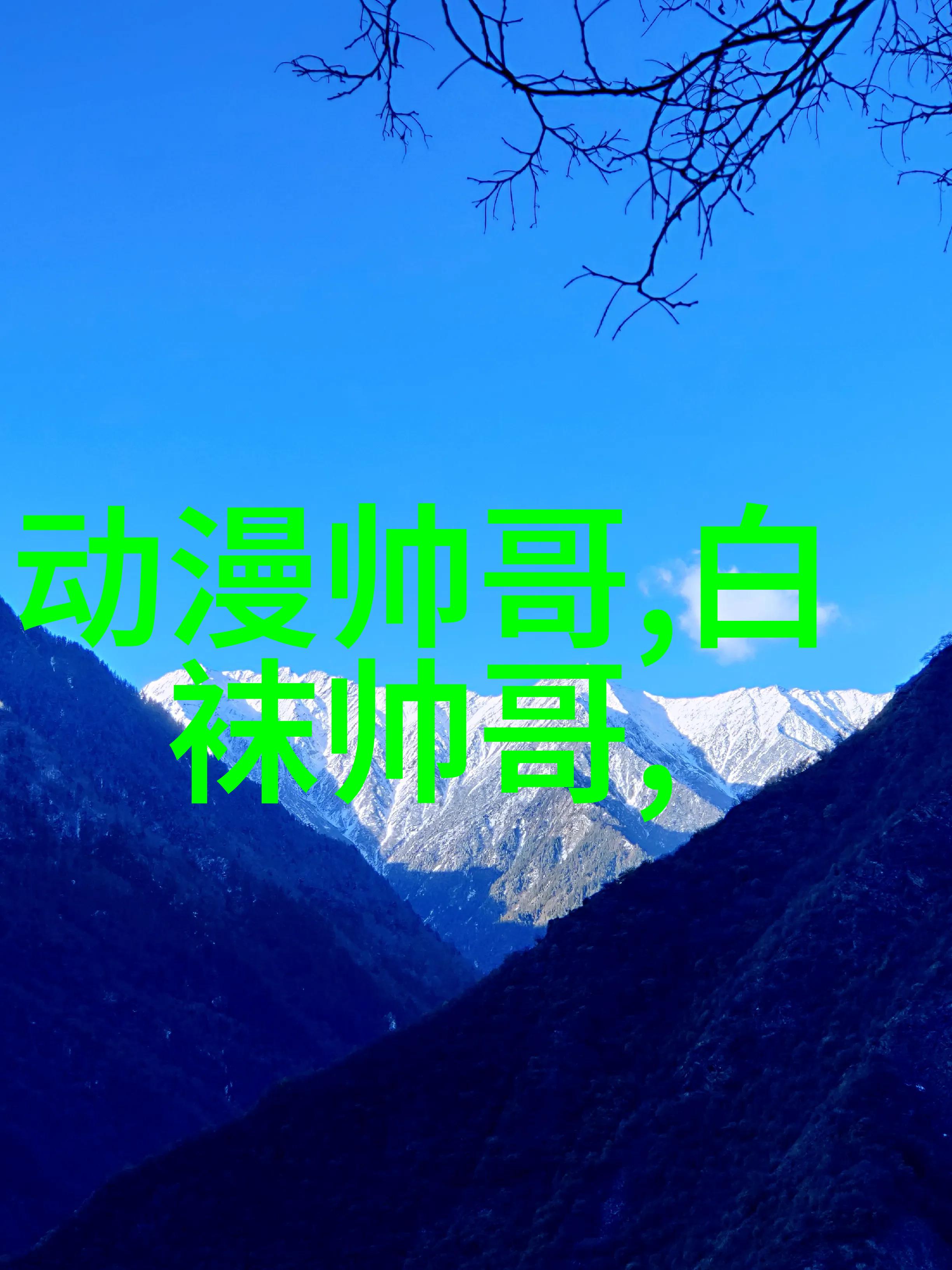 武艺高强者零分全科目考试武艺高强者的不凡失误