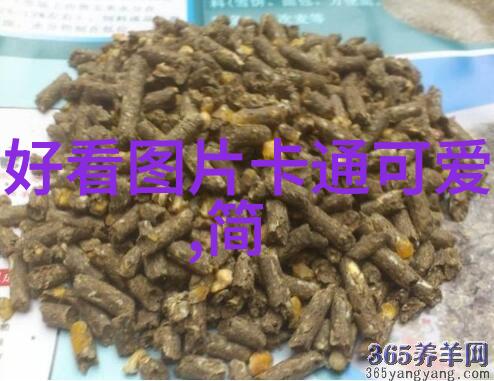 午夜电影院的特映片你坐在最后一排看见了没有那个影子在移动