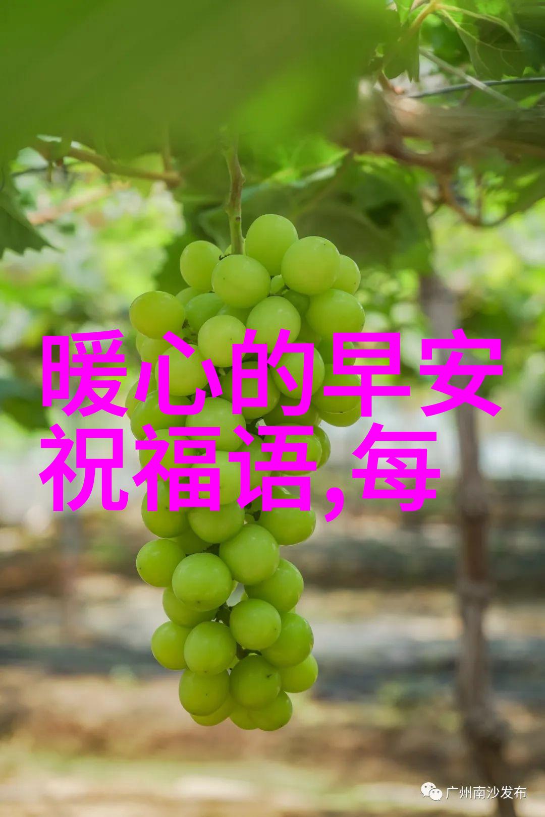 虚拟世界的邻里微信附近人扫码的神秘面纱