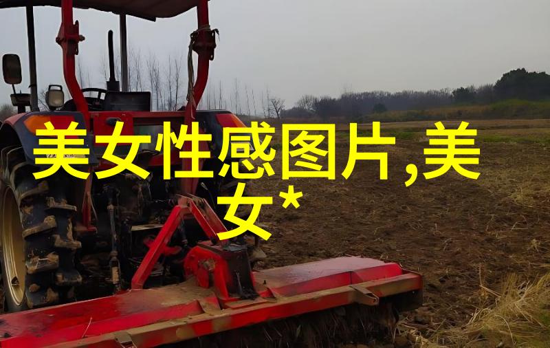 番茄影视上的鱿鱼游戏第二季你知道它什么时候会亮相吗