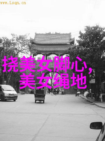 技术创新-字体解锁一键识别字体的未来与应用