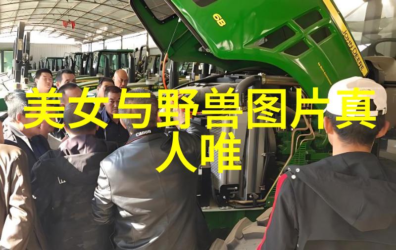 如何通过定制化晚间程序实现每日更新的最佳时间点发送问题