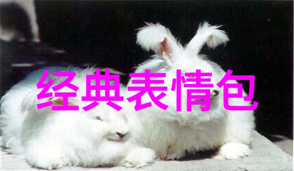 每日晨曦探索早晨问候语的文化与意义
