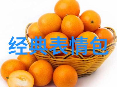 明星的知识之旅只为学问的追求