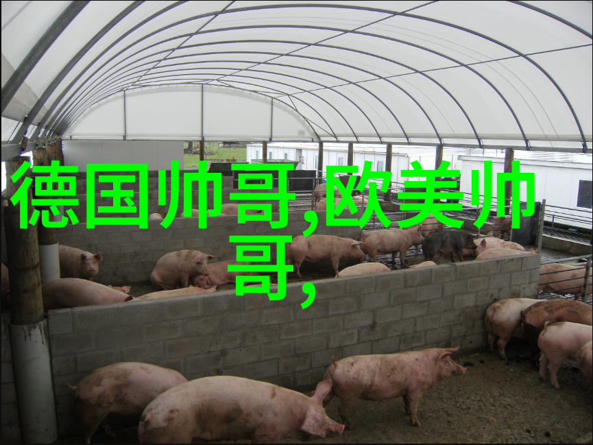 幽灵通行全球最恐怖的鬼影