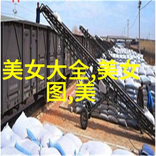 张雪峰网络红人背后的故事与综艺光芒