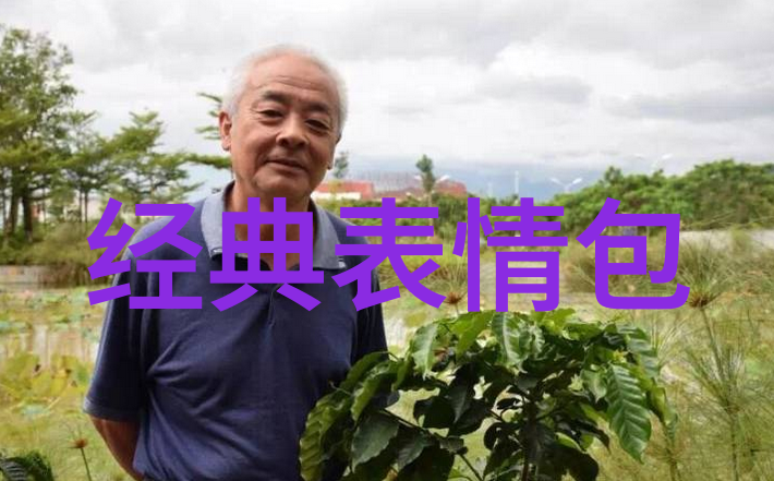 追溯文字根源汉字之谜