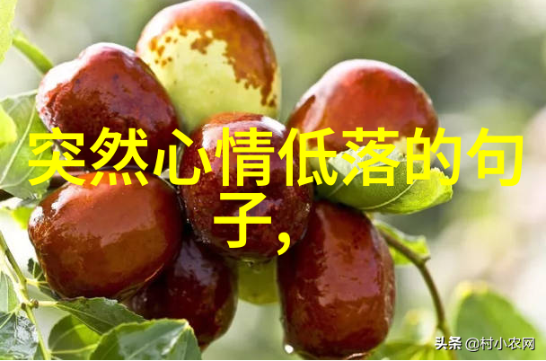 情绪记忆与遗忘解读人类心灵深处的故事编织者