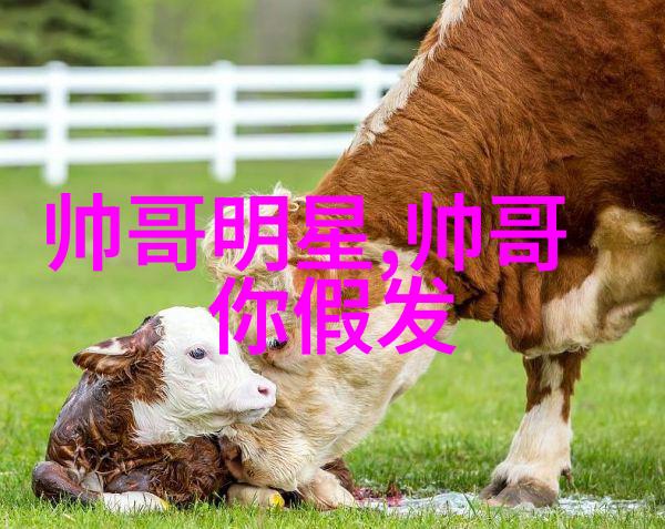在动画史上哪些是最具代表性的动漫美女角色