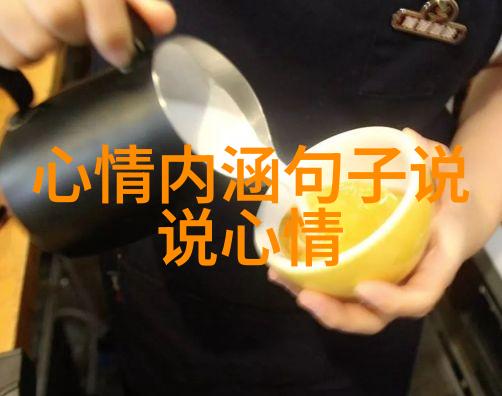 编织梦想之网从初见到深入了解那些令人心动的旋律