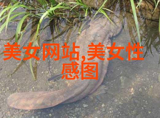 我们是否正处于一个传统节假日期间